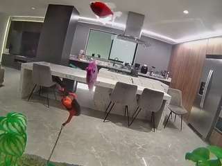 voyeurcam casa salsa fishtank